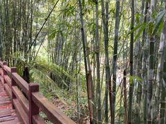 -赤水丹霞旅游区·大瀑布