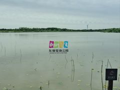 -东滩湿地公园观海楼餐厅