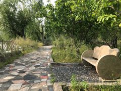 -南汇桃花村