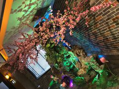-富侨养生(光大会展店)
