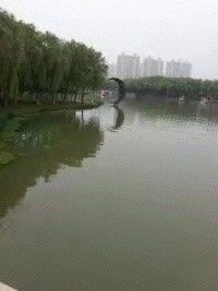 -昆山城市生态森林公园