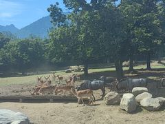 -西安秦岭野生动物园