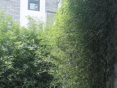 -星巴克臻选(成都宽窄巷子店)