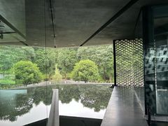 -知美术馆
