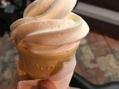 -麦当劳(王顶堤店)