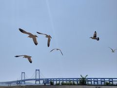 -辰熙ACX星海艺术中心