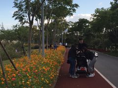 -上海长兴岛郊野公园