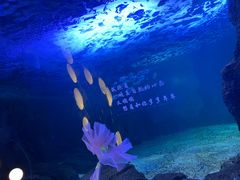 -常州海昌海洋探索馆
