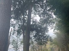 -丹山赤水风景名胜区