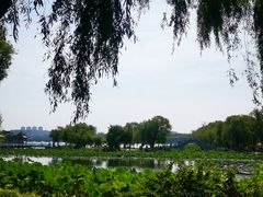 -长春市南湖公园