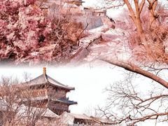 -北京凤凰岭