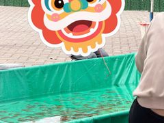 -洛阳市牡丹公园