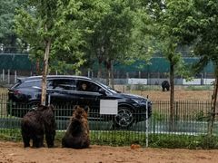 -秦皇岛野生动物园