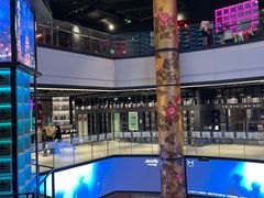 -上海明天广场JW万豪酒店