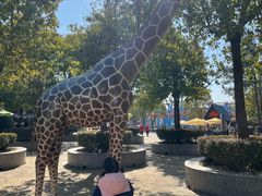 -南京银杏湖乐园