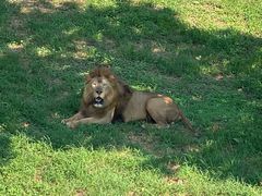 -西霞口神雕山野生动物世界