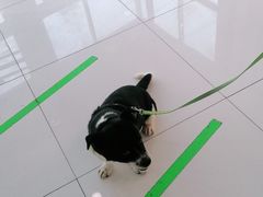 -北京恒爱动物医院(清景园分院)