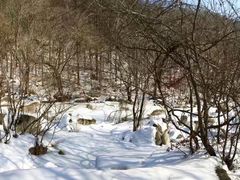 -大连天门山国家森林公园