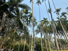 -中国科学院西双版纳热带植物园