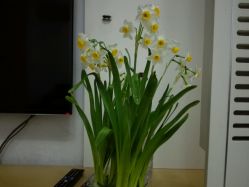 -Kraemer Paris  苏豪路易士·嘉玛发廊