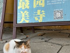 -西园戒幢律寺