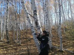 -塞罕坝国家级自然保护区