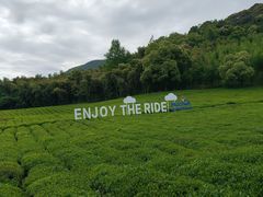 -莫干山风景区