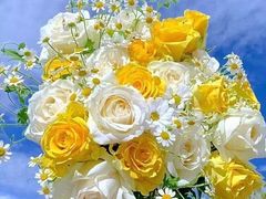 -GODIVA(万象城店)