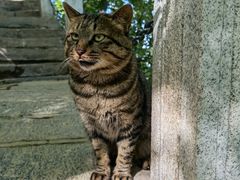 -终南山南五台景区