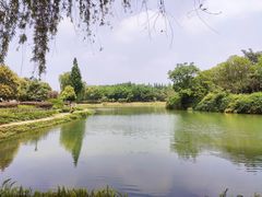 -升仙湖公园