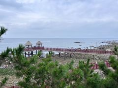 -养马岛旅游度假区