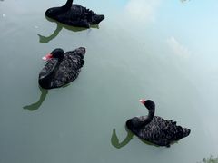 -长兴太湖图影湿地文化园