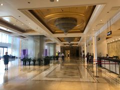 -合肥丰大国际大酒店