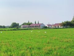 -东平国家森林公园
