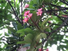 -瓦洛洛传统市场