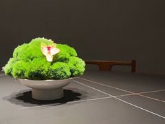 -觀芷隐轩