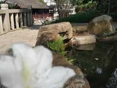 -乌山风景区