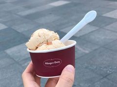 -哈根达斯(石家庄北国店)