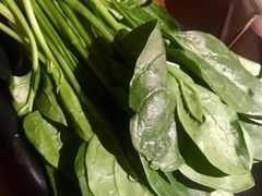 菠菜-牛焱·贵州黄牛肉火锅(城西银泰店)