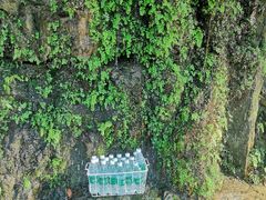 -华蓥山天意谷景区