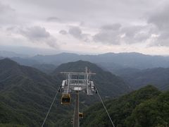 -栾川竹海野生动物园