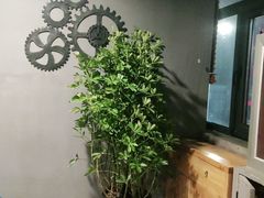 -鸽子窝(宋庄店)