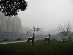 -西北湖绿化广场