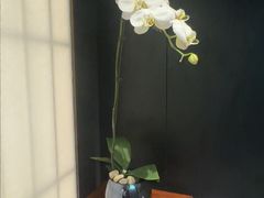 -浩运海鲜·16年专注青岛菜(石老人店)