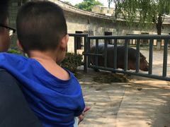 -石家庄市动物园