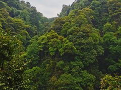 -青城山
