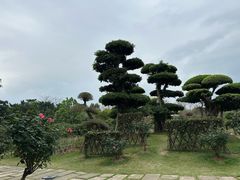 -南宁南湖公园