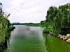 -大兴滨河森林公园