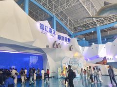 -泉城欧乐堡海洋极地世界