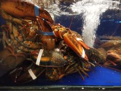 -高佳庄·舟山海鲜(海景旗舰店)